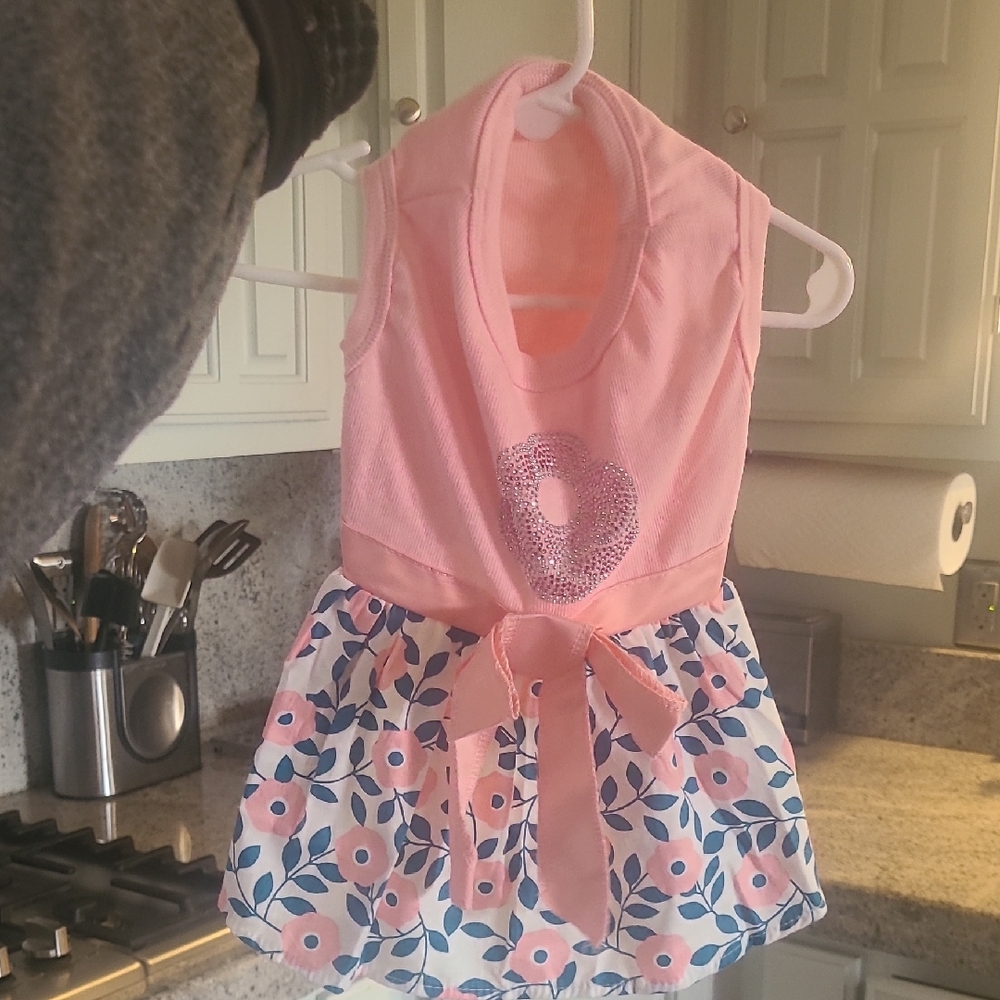 Pink and Blue Floral Dog Dress NWT